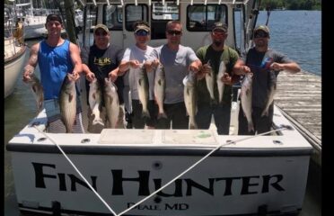 Fin Hunter Charters