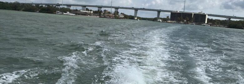 Sand Dollar Boat Rentals