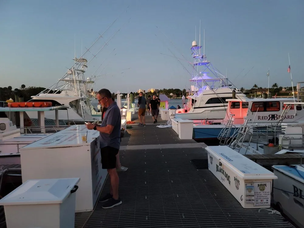 Square grouper, jupiter, florida, music, waterfront, boating, alan jackson