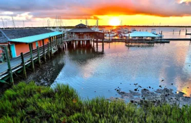 The Conch House Restaurant