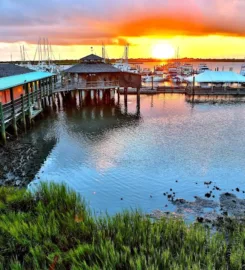 The Conch House Restaurant